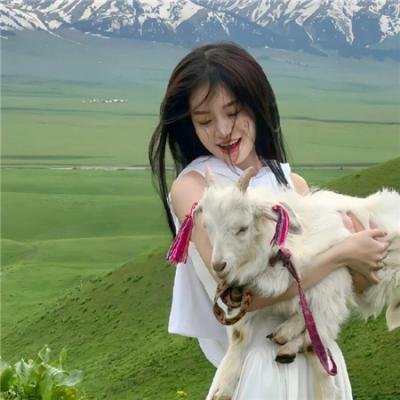 无爱